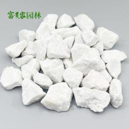 建筑装饰白砾石 白色水磨石 1-2cm铺面白石子
