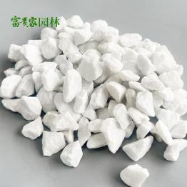 透水地面白砾石 枯山水白石铺地白色石头1-2cm 