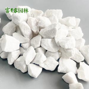 园林铺路白石 装饰水磨白砾石透水白石子 