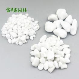 白色鹅卵石 机制白石 枯山水铺面水磨白石子