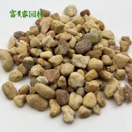 建筑地坪黄石子 透水地坪黄色水磨石 黄色河石子