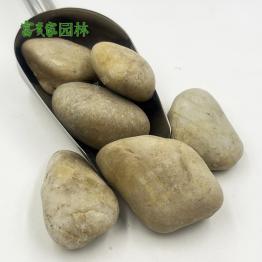 富贵家生产黄色鹅卵石点缀 草坪石 园艺绿化铺地用