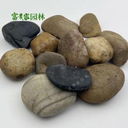 公园水池鹅卵石五彩雨花石 广场施工布景园林铺路庭院抛光石头