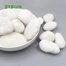 别墅庭院彩色鹅卵石 园林景观装饰五彩抛光白雨花石 40斤/袋