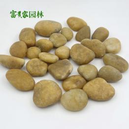 园林景观黄色雨花石3-5公分 抛光黄鹅卵石批发