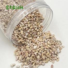 小麦黄色砾石 庭院树坑装饰机磨黄石子 枯山水造景浅黄洗米石