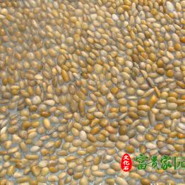 别墅小院拼铺红卵石 园艺抛光雨花石 高光铺路卵石