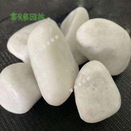 供应 3-5公分白色机制鹅卵石 白卵石 公园造景铺路用 富贵家规格齐
